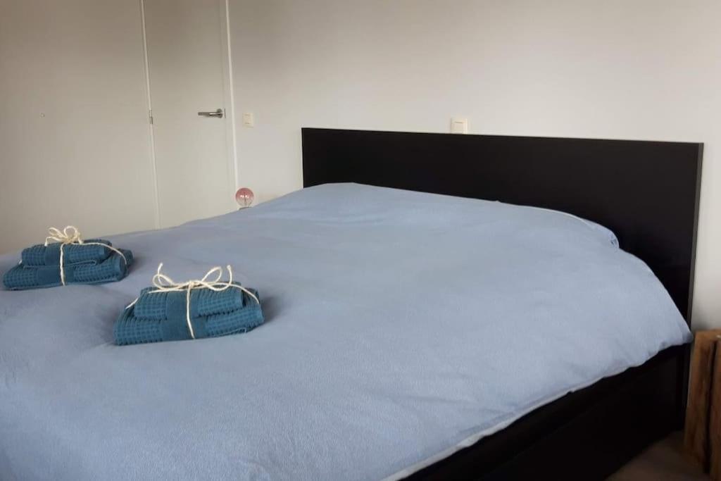 Momaison Charmant Landelijk Appartement Knesselare Eksteriør bilde